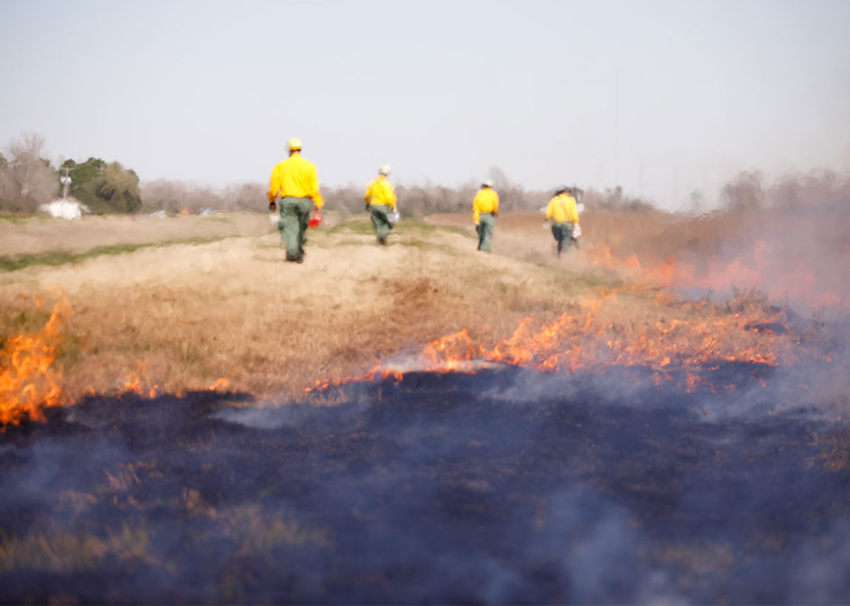 Firefighters