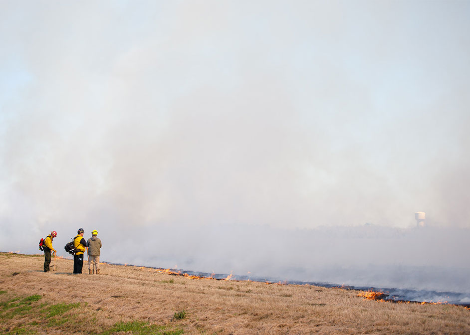 Firefighters