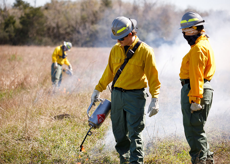 Firefighters