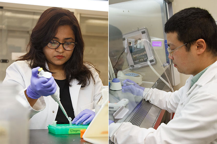 Biology/Biochemistry PhD Students Explore Cancer Causes and Treatments