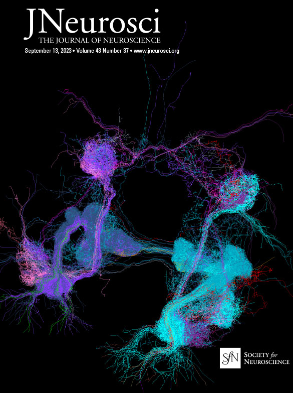 The Journal of Neuroscience