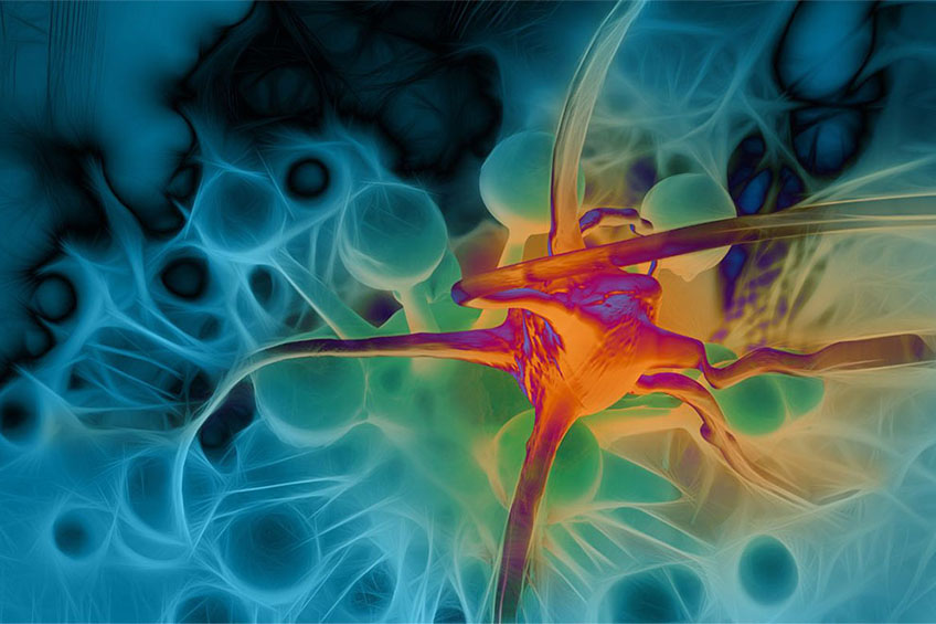 University of Houston Awarded $3M to Launch Cancer Biomarker Facility for Immunotherapy Research