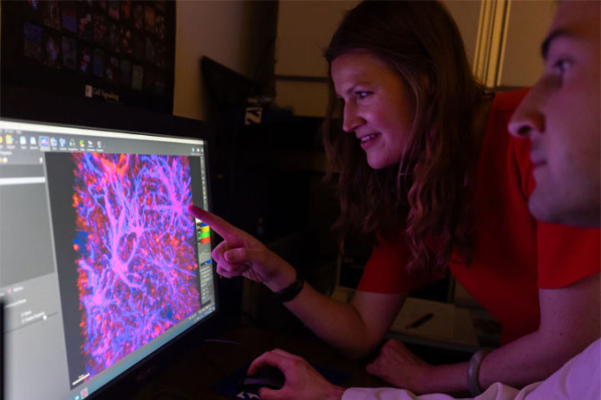 UH/UC Researchers Use Machine Learning to Map Brain Changes from Heroin Addiction